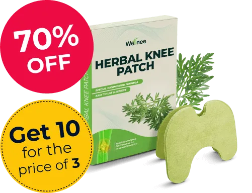 Wellnee Herbal Knee Pain Relief Patch